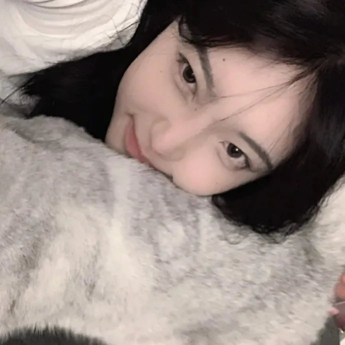 野良猫洛克:女番长 海报