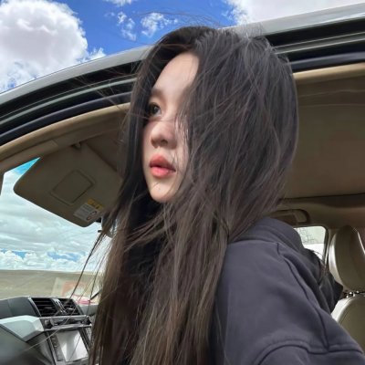 阁下爱鸭 海报